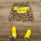CAMO SHORTS